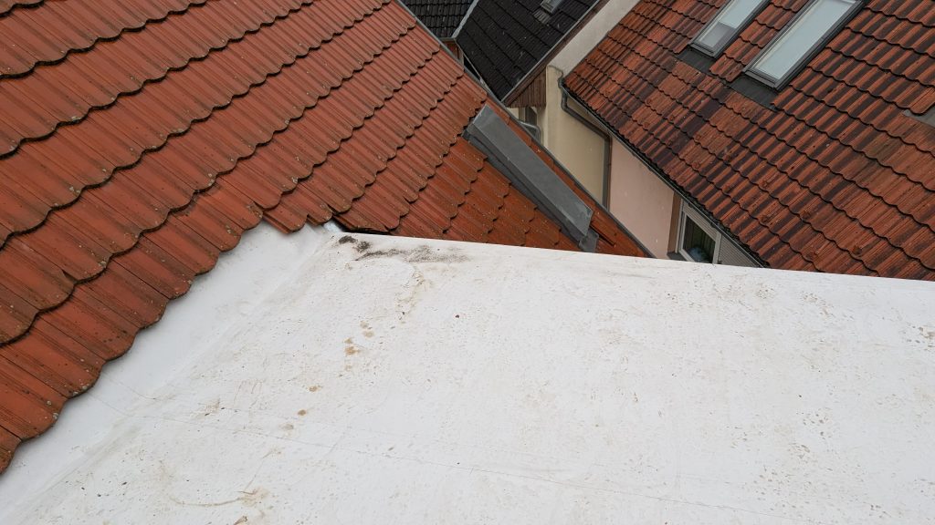 PXL_20251001_150206178